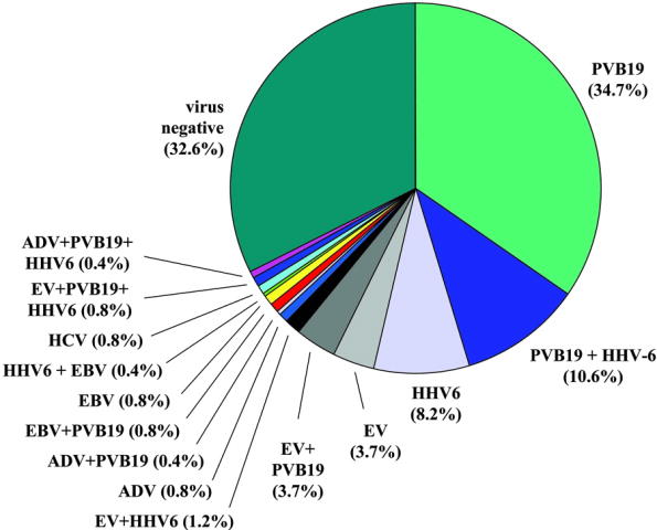 Viral genomes.jpg