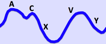 Jugular Venous Pulse.png