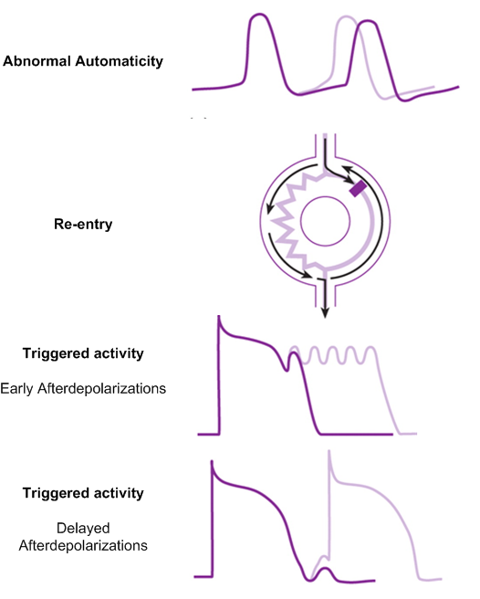 Mechanisms.png