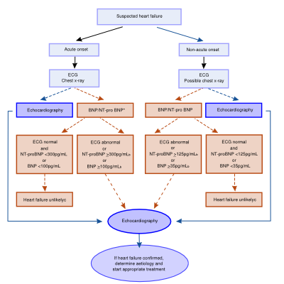 Heart Diagram Flow Chart Image collections - How To Guide 