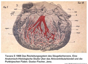 Figure 13.jpg