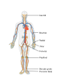 Thumbnail for version as of 00:51, 4 December 2012