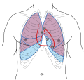 Thumbnail for version as of 09:15, 5 December 2012