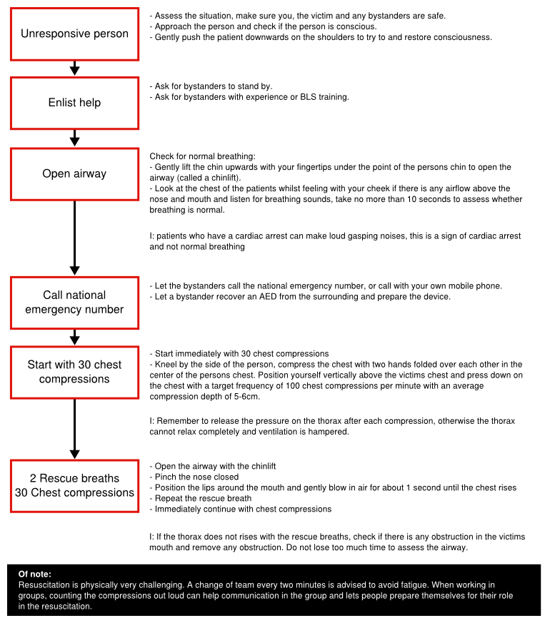 Figure 1. The basic life support algorithm.