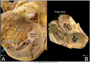 Figure 8.jpg