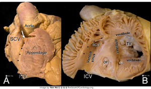 Figure 5.jpg