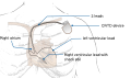 Thumbnail for version as of 20:34, 21 November 2012
