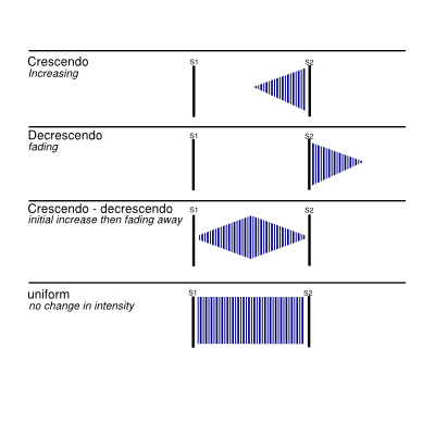 maximal impulse examination textbook cardiology