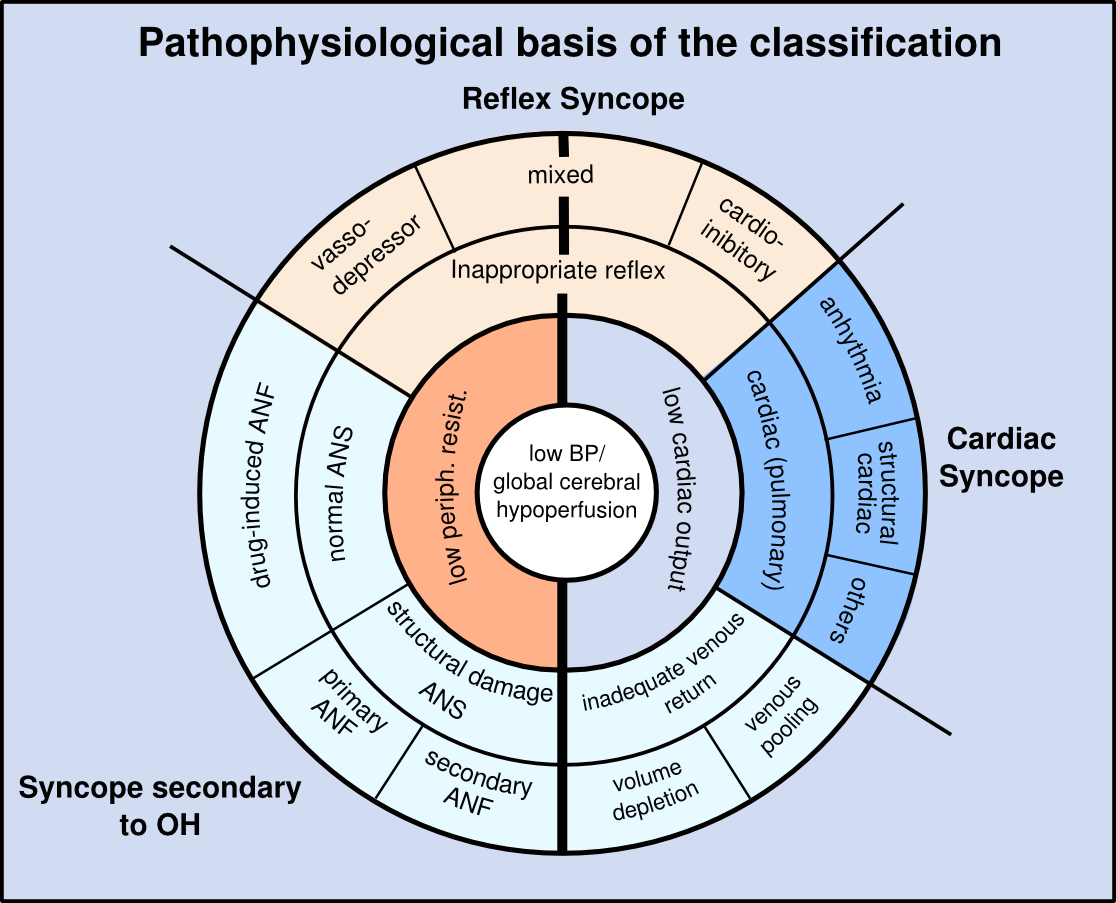 Pathophysiology.svg