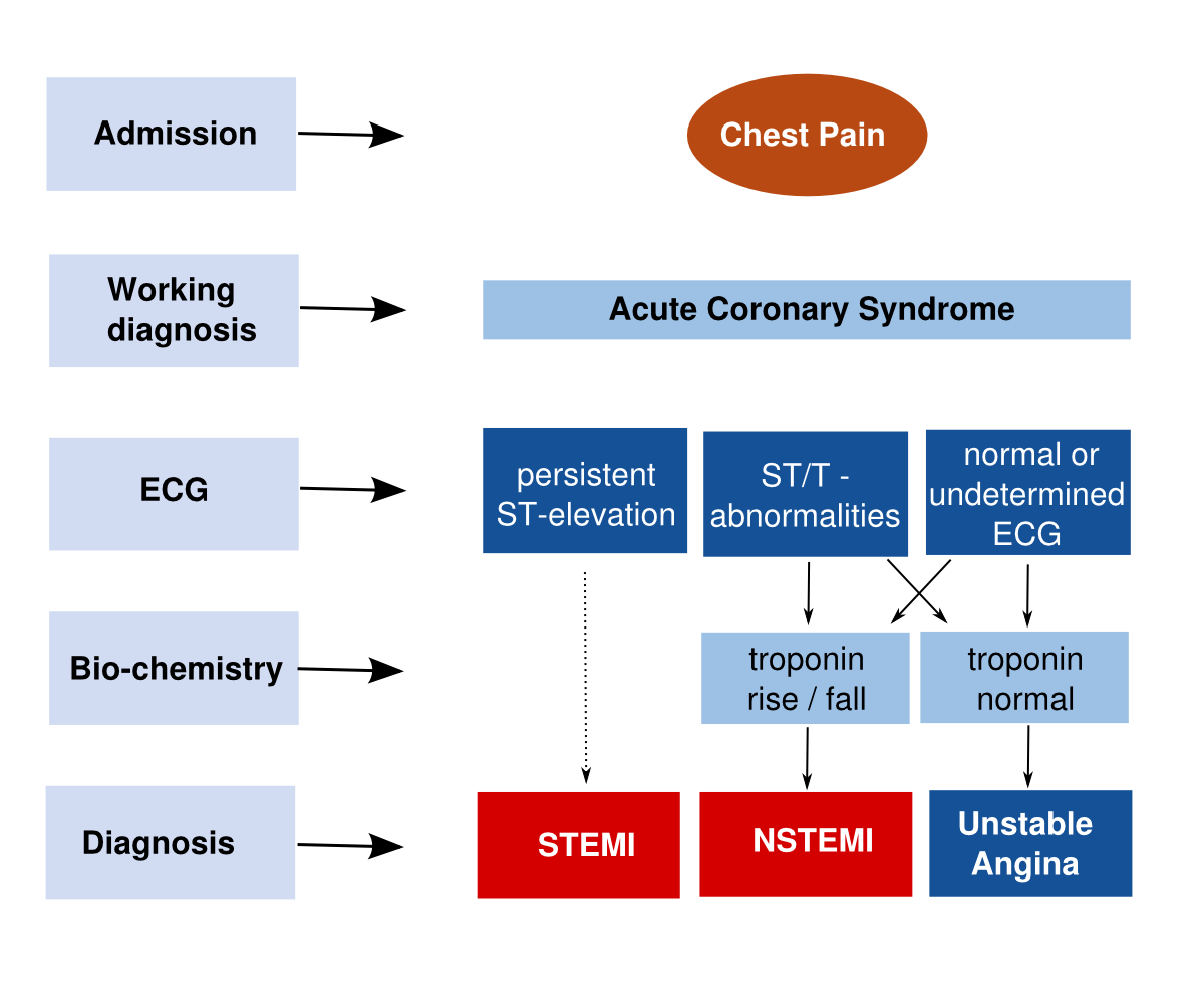 Different terminology is used during different phases of the chest pain workup. The ECG classifies into ST elevtion or not. Troponine definitely classifies into myocardial infarction (damage) or not.