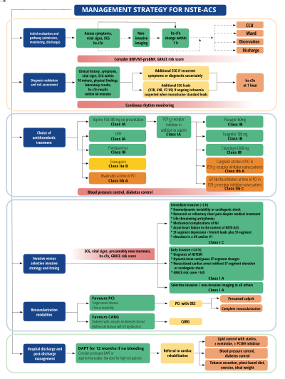 Non-ST-segment elevation Acute Coronary Syndrome2.svg