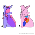 Thumbnail for version as of 19:51, 30 November 2012