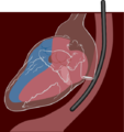 Thumbnail for version as of 18:29, 18 October 2012