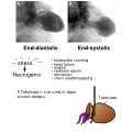 Thumbnail for version as of 18:10, 22 October 2012