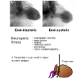 Thumbnail for version as of 18:15, 22 October 2012