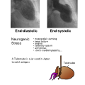 Thumbnail for version as of 20:37, 4 November 2012