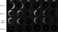 Thumbnail for version as of 02:45, 28 March 2013