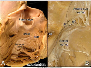 Figure 7.jpg