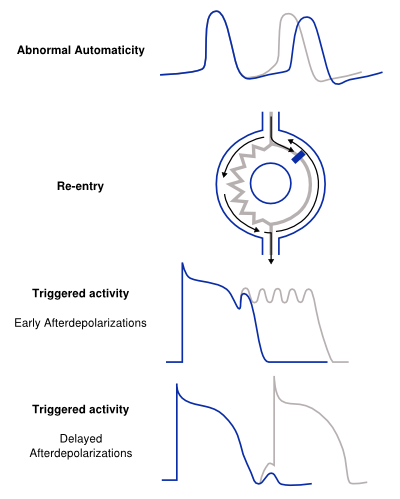 Mechanisms.svg