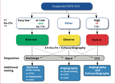 Non-ST-segment elevation Acute Coronary Syndrome.svg