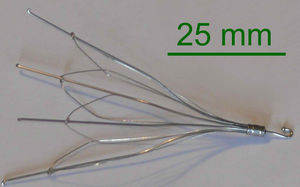 Inferior vena cava filter.jpg