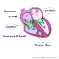 Thumbnail for version as of 08:28, 3 December 2012