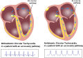 Thumbnail for version as of 17:03, 18 December 2012
